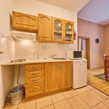 Stribrny Pramen-8 By Interhome Апартаменты Янське Лазне